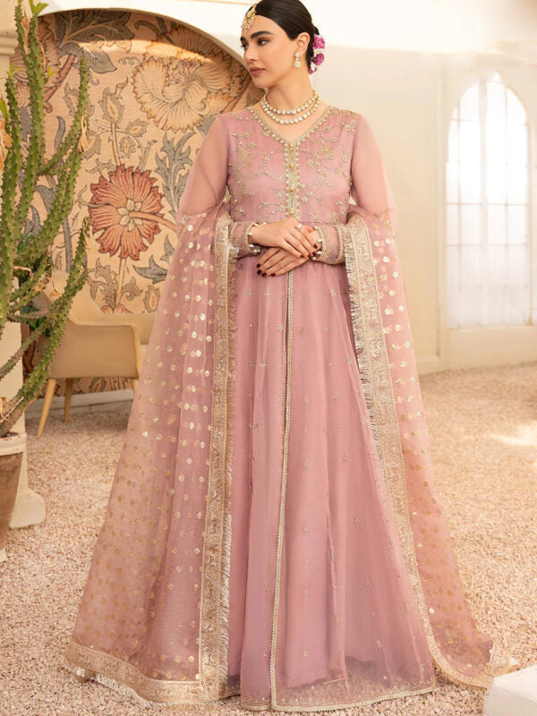 Organza Embroidered Frock - FKO-TP-PC060.