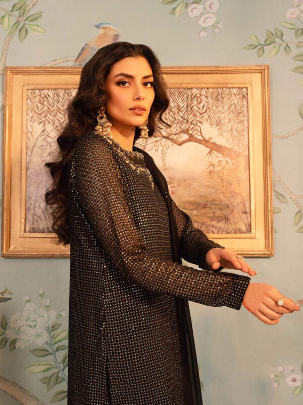 Embroidered Chiffon - FKO-RB-PC065)