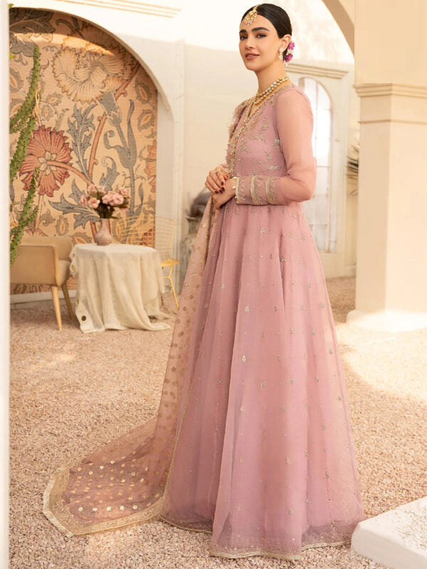 Organza Embroidered Frock - FKO-TP-PC060.