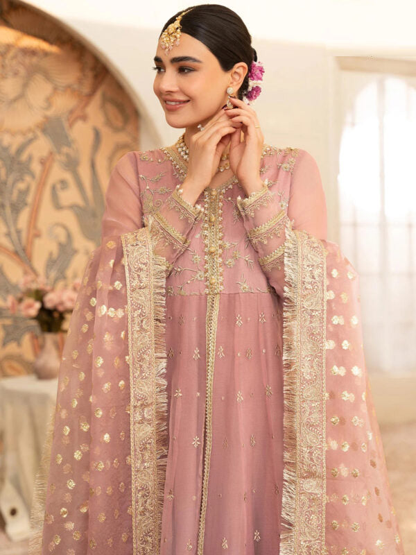 Organza Embroidered Frock - FKO-TP-PC060.