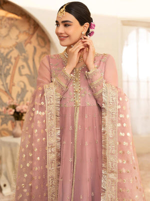 Organza Embroidered Frock - FKO-TP-PC060.
