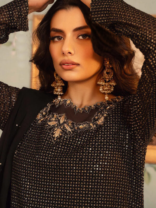 Embroidered Chiffon - FKO-RB-PC065)