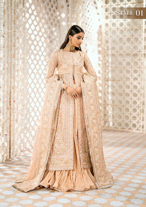 LIGHT PINK EMBROIDERED EMBELLISHED TISSUE LOOK-24-06