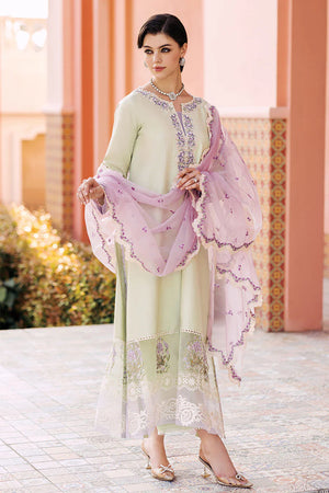 LIME GREEN COTTON NET OUTFIT FKO-LGCN04244