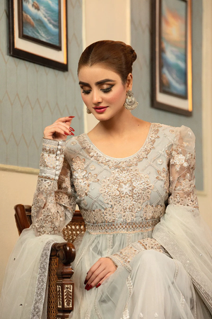 Silver Long Frowk Like Maxi