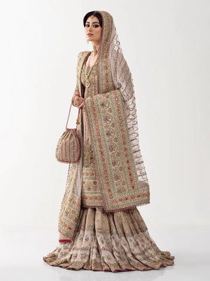 Royal Gharara Kameez Style